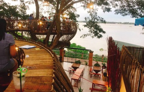 "Sống ảo" trong tiệm cafe trên cây ở Cần Thơ
