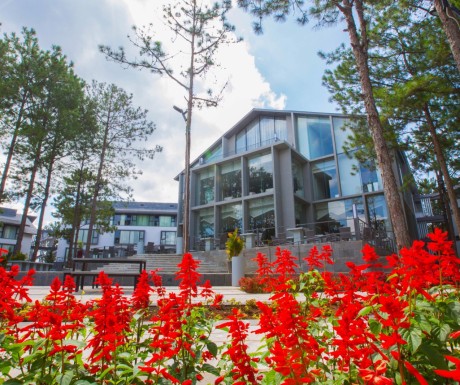 TERRACOTTA ĐÀ LẠT