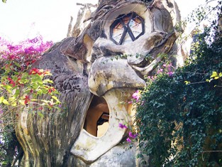 ‘Ngôi nhà ma quái’ ở Đà Lạt vẫn hút khách sau gần 30 năm