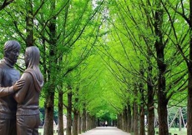 Seoul - Nami - Hongcheon - Seorak - Tháp Namsan