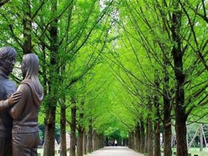 Seoul - Nami - Hongcheon - Seorak - Tháp Namsan